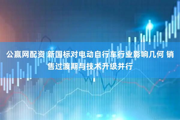 公赢网配资 新国标对电动自行车行业影响几何 销售过渡期与技术升级并行