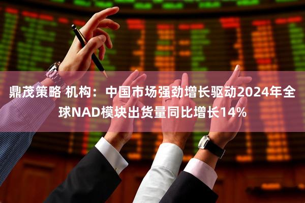 鼎茂策略 机构：中国市场强劲增长驱动2024年全球NAD模块出货量同比增长14%