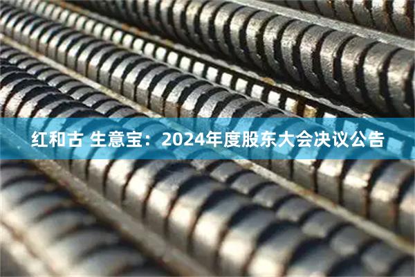 红和古 生意宝：2024年度股东大会决议公告