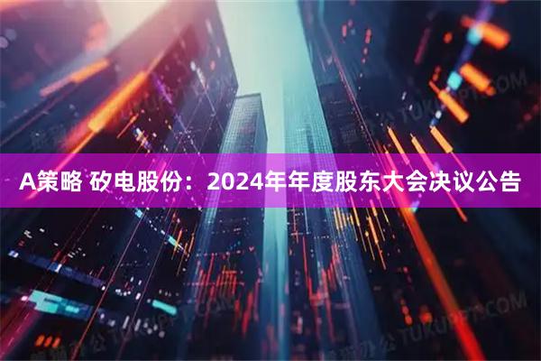 A策略 矽电股份：2024年年度股东大会决议公告
