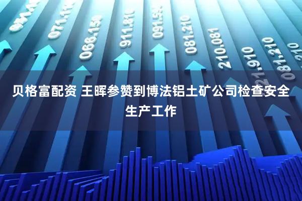 贝格富配资 王晖参赞到博法铝土矿公司检查安全生产工作
