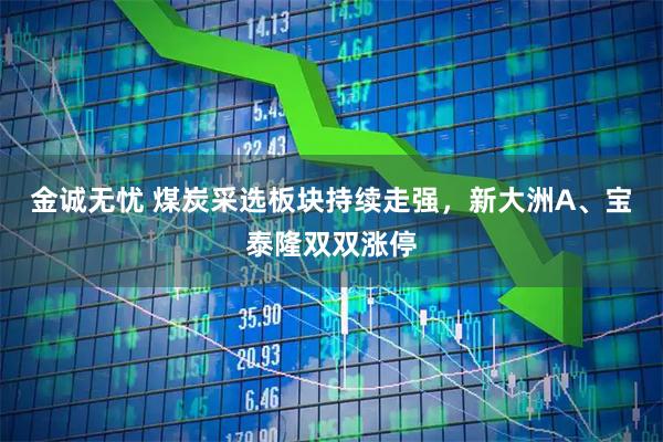 金诚无忧 煤炭采选板块持续走强，新大洲A、宝泰隆双双涨停