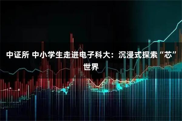 中证所 中小学生走进电子科大：沉浸式探索“芯”世界