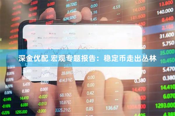 深金优配 宏观专题报告:稳定币走出丛林