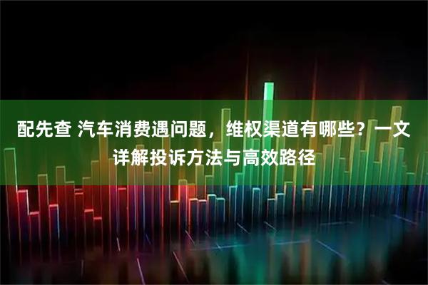 配先查 汽车消费遇问题，维权渠道有哪些？一文详解投诉方法与高效路径