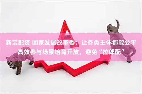 新宝配资 国家发展改革委:让各类主体都能公平高效参与场景培育开放,避免“拉郎配”
